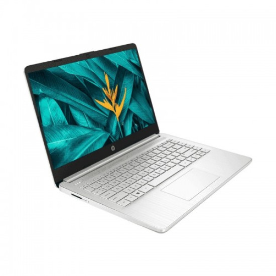 HP 14s-dq2888TU Core i5 11th Gen 14" HD Laptop